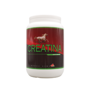 Creatina 80% Horse – Sabor Manzana 1 kg