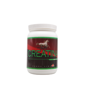 Creatina 80% Horse – Manzana 500 g