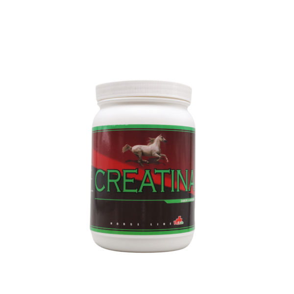 Creatina 80% Horse – Manzana 500 g